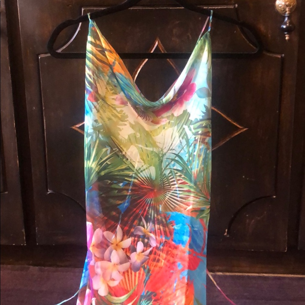 Sexy sexy sheer bikini cover up. Low cut back.